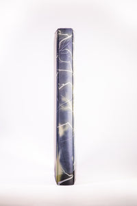 Kanto Collection #7 Thunderbolt